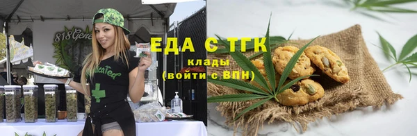 молекула духа Вяземский