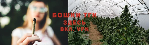 молекула духа Вяземский