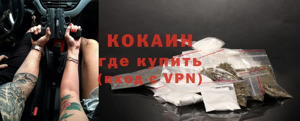 молекула духа Вяземский