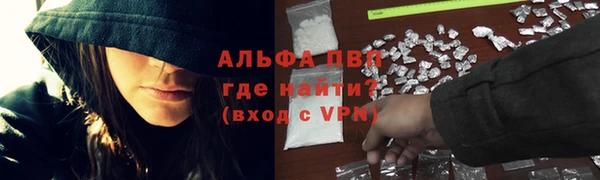 молекула духа Вяземский