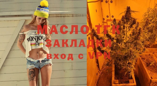 молекула духа Вяземский