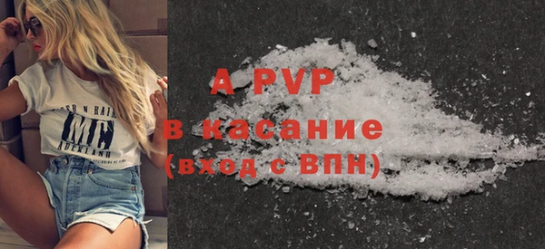 молекула духа Вяземский