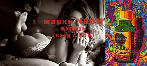 молекула духа Вяземский