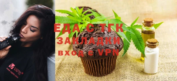 молекула духа Вяземский