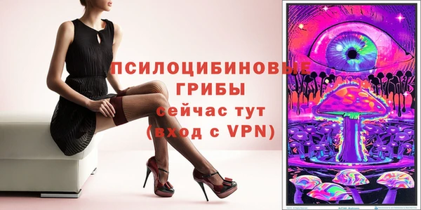 молекула духа Вяземский