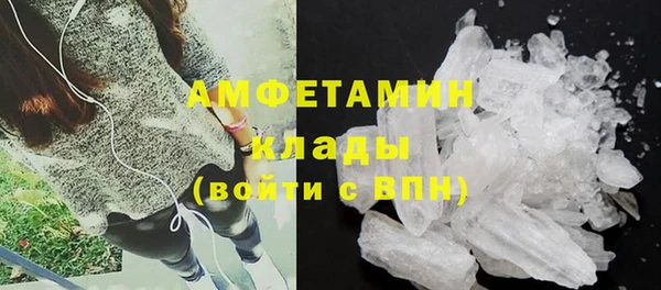 молекула духа Вяземский