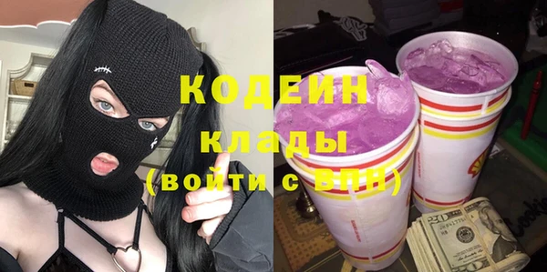 молекула духа Вяземский