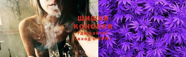 молекула духа Вяземский