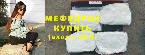 молекула духа Вяземский