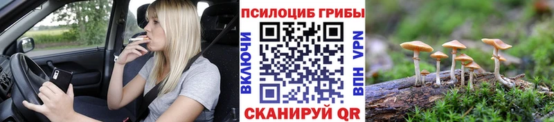 kraken tor  Переславль-Залесский  нарко площадка Telegram  Псилоцибиновые грибы прущие грибы 